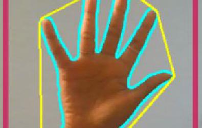 Real Time Finger Detection image